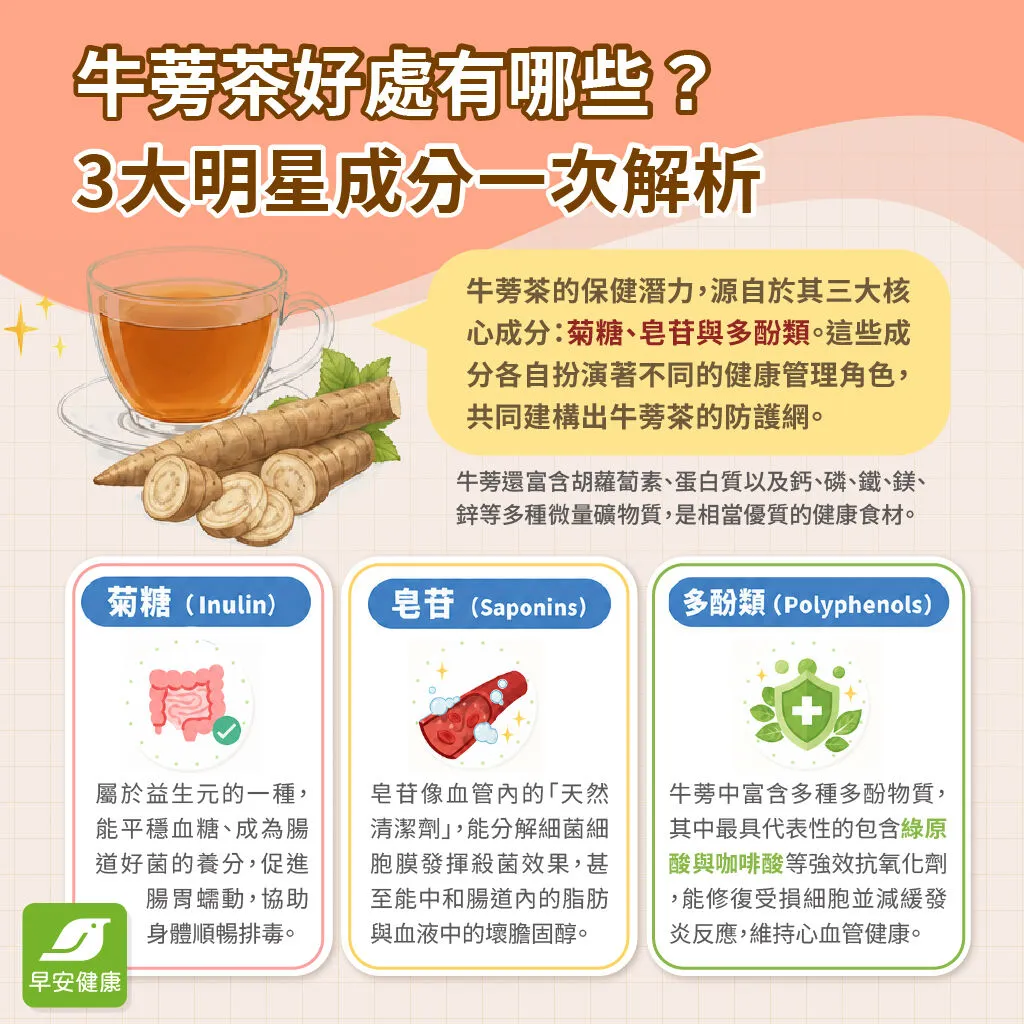 早安健康_牛蒡茶好處有哪些?三大明星成分解析